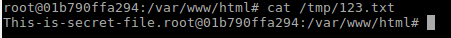 secret-file